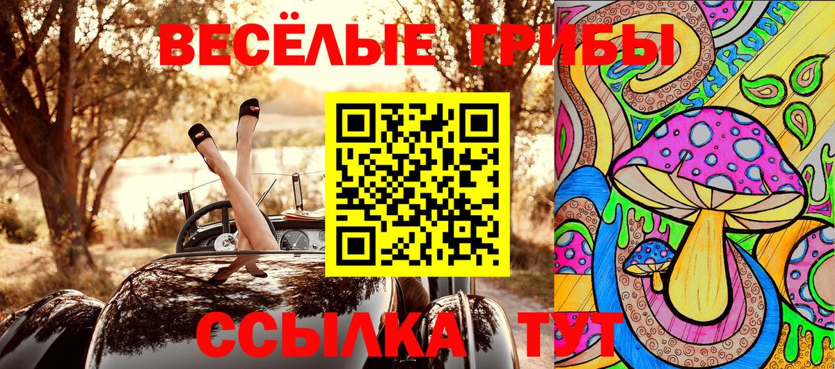Тулун  Псилоцибиновые грибы Cubensis  Вход с VPN 