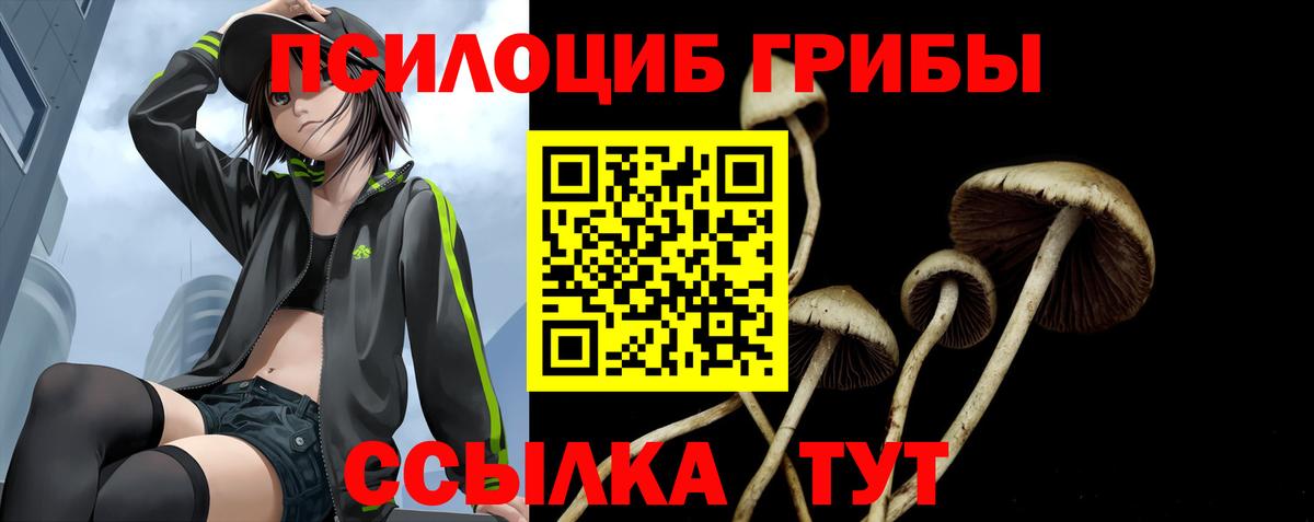 Псилоцибиновые грибы мицелий Тулун